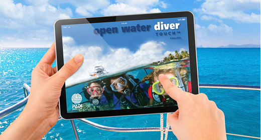 padi6